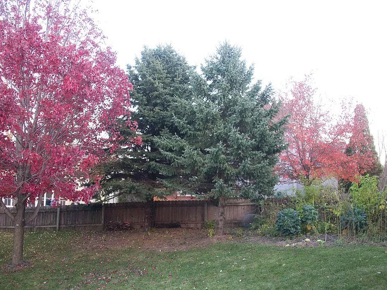 Long Meadow Dr — Photo 10