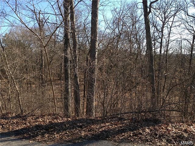 2nd image of 554 Old Logging Rd