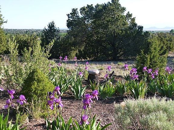 4th image of 632 Camino Lejo