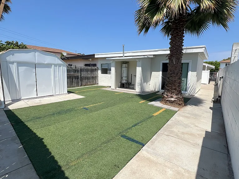 Back yard
