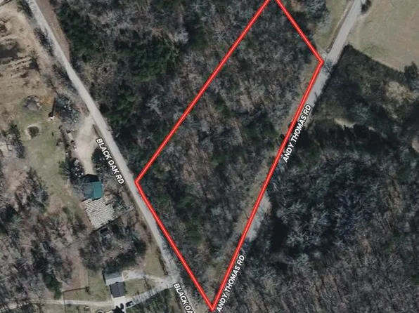 0 Andy Thomas Rd, Sale Creek, TN 37373
