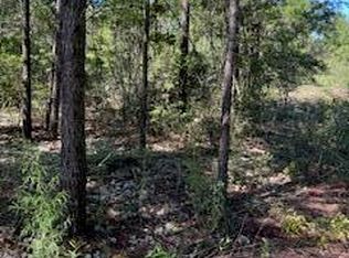 45-48 W Buckeye St, Mossy Head, FL 32434