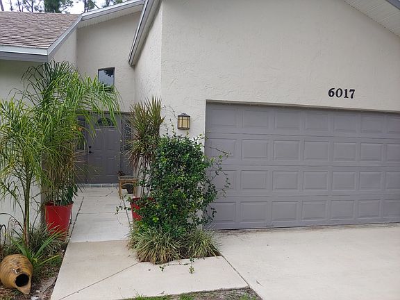 plant lovers dream walkway