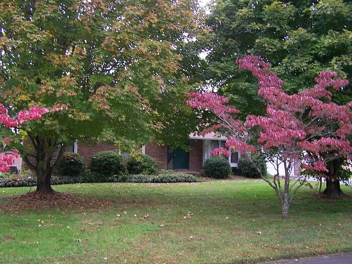 7225 Deville Way — Photo 2