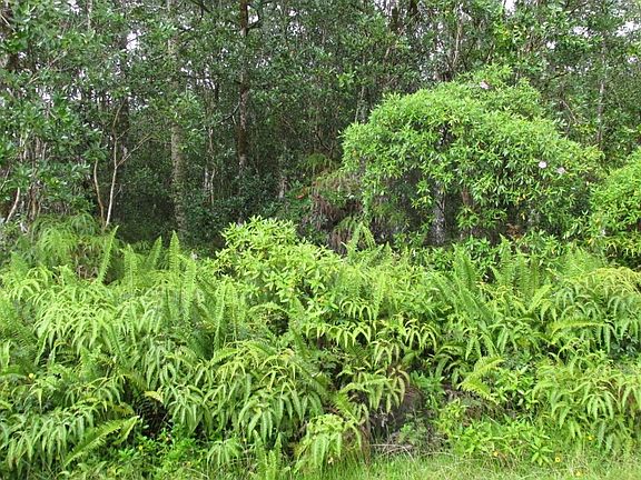 2nd image of Leialoha Dr Lot 34