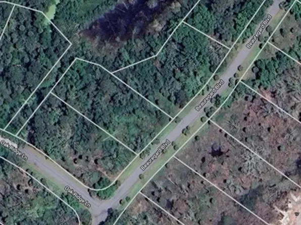 295 Oakridge Ln, Daufuskie Island, SC 29915