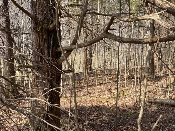 LOT 19 N Fork Dr, Burnside, KY 42519