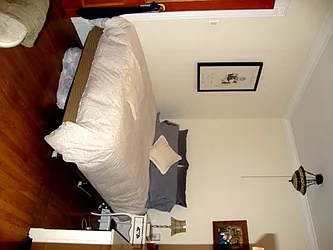 Rented by Mark David