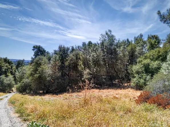 2 Berry Pond Rd, Placerville, CA 95667