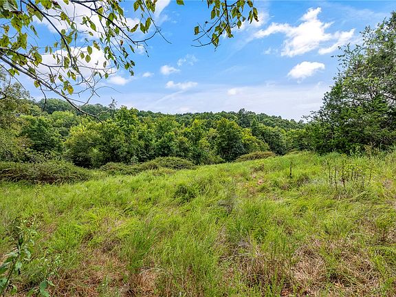 3rd image of Capps Ranches Rd