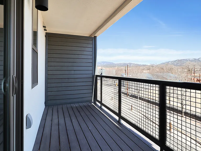 315 picture taken in March/Late Winter. 313 has same fantastic views of Railyard Park and mountains! Storage closet is on opposite side.