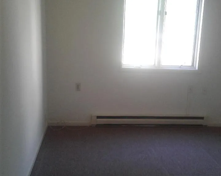 458 Maple St #5 — Photo 4