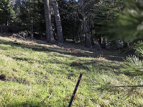 2nd image of 21543 Peak Cir #11