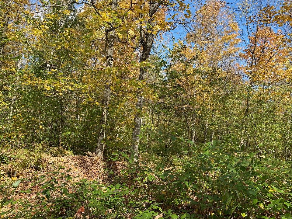 Off County Line Lake Rd 39, Bruce Crossing, MI 49912 Zillow