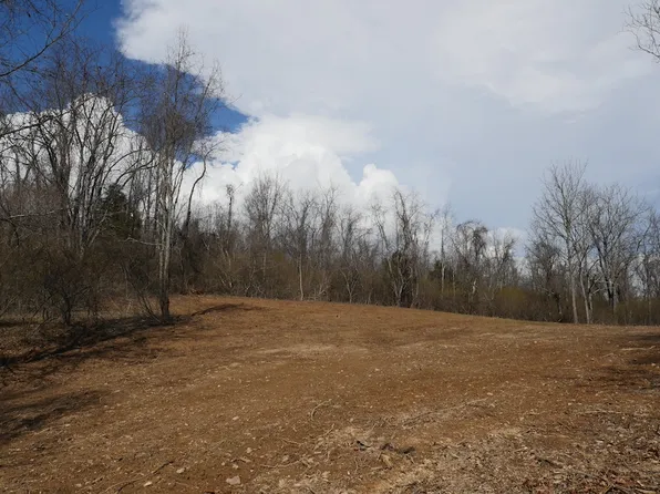 Chestnut Tower Ln Lot Wp001, Max Meadows, VA 24360