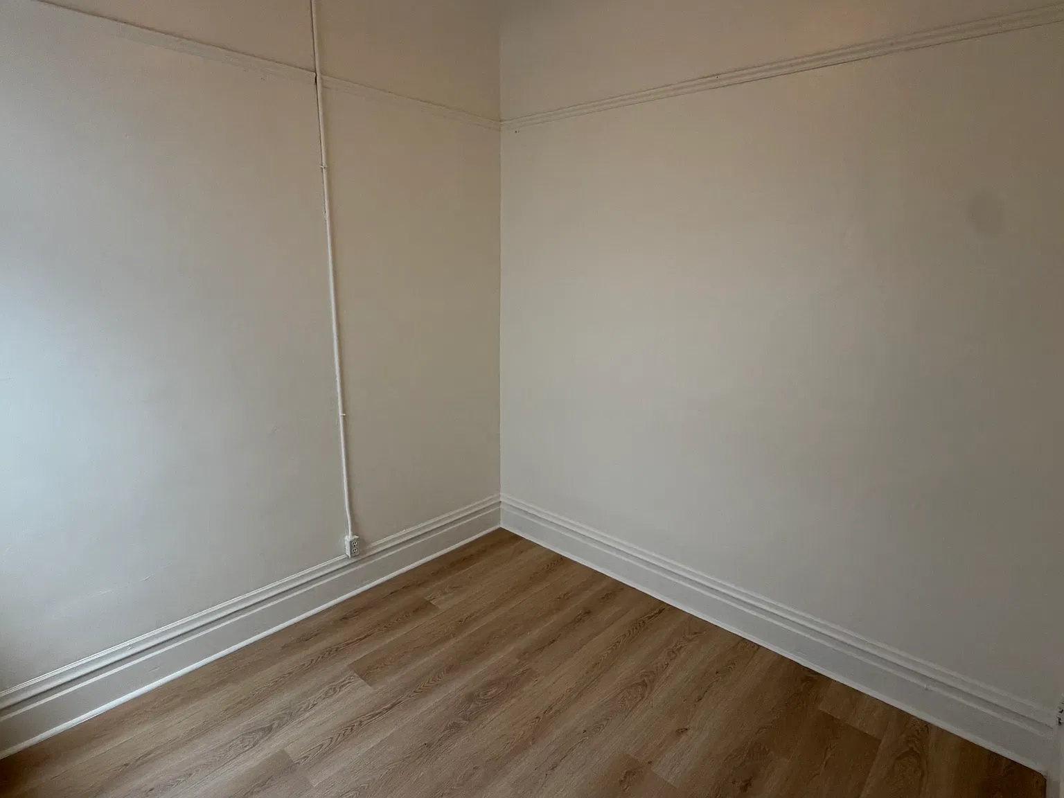 Studio, $900 — Photo 3