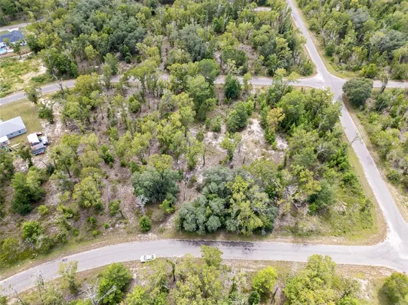 Fisher Lane Trce Lot 2, Ocklawaha, FL 32179