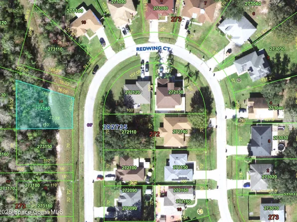 133 Redwing Ct, Poinciana, FL 34759