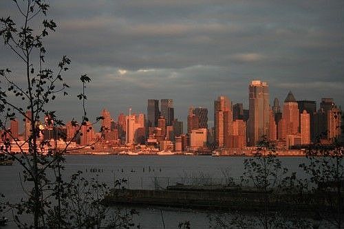 Skyline View