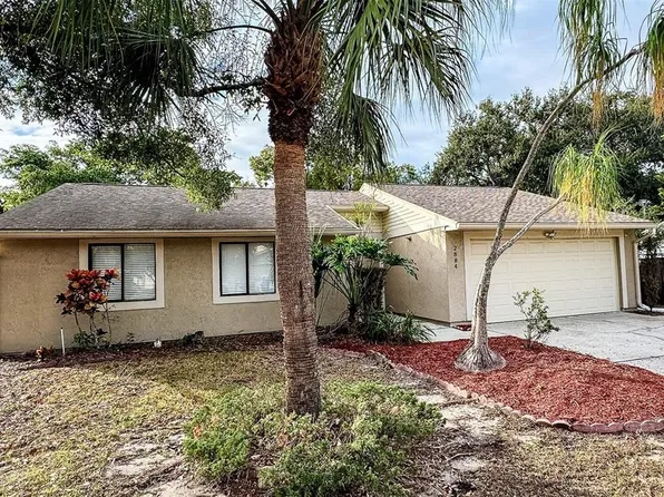 2884 Cinnamon Bear Trl, Palm Harbor, FL 34684