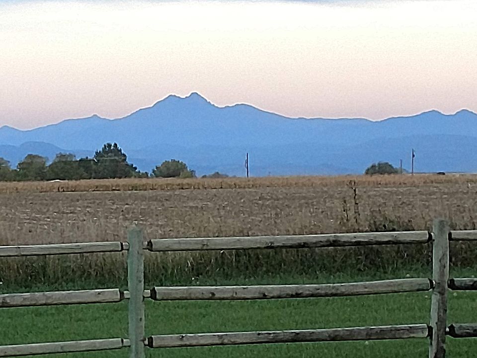 Longs Peak view - side yard