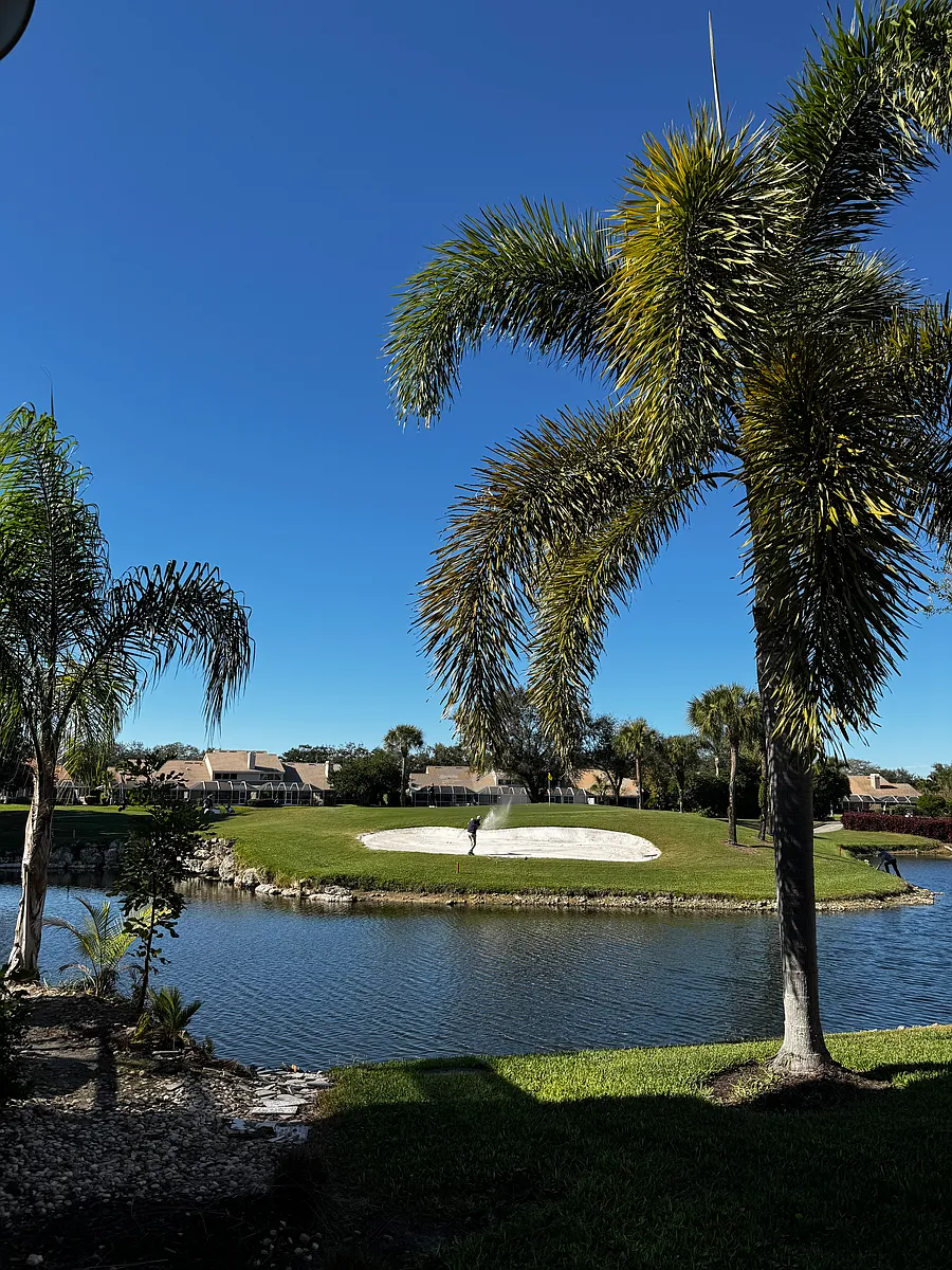 Taken right from the backyard! Amazing spot... honestly. - 11762 Quail Village Way