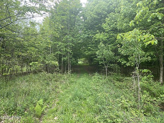 5th image of 131 Hidden Valley Dr