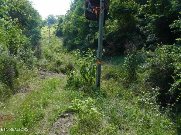 16.58 Old Cave Springs Rd #A, Tazewell, TN 37879