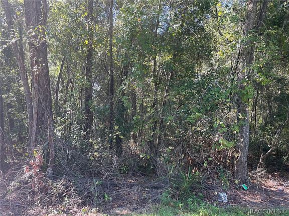 5th image of 6870 N Dawson Dr