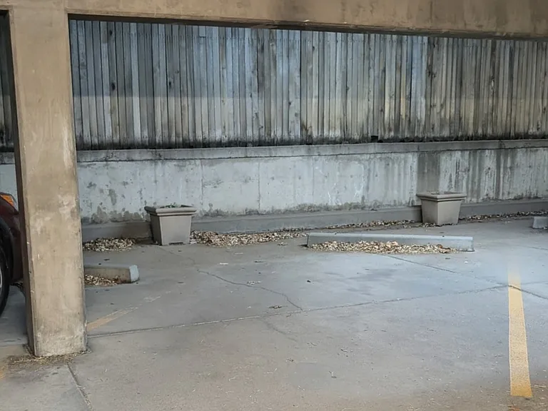 Reserved, covered carport parking available for purchase for $100/month