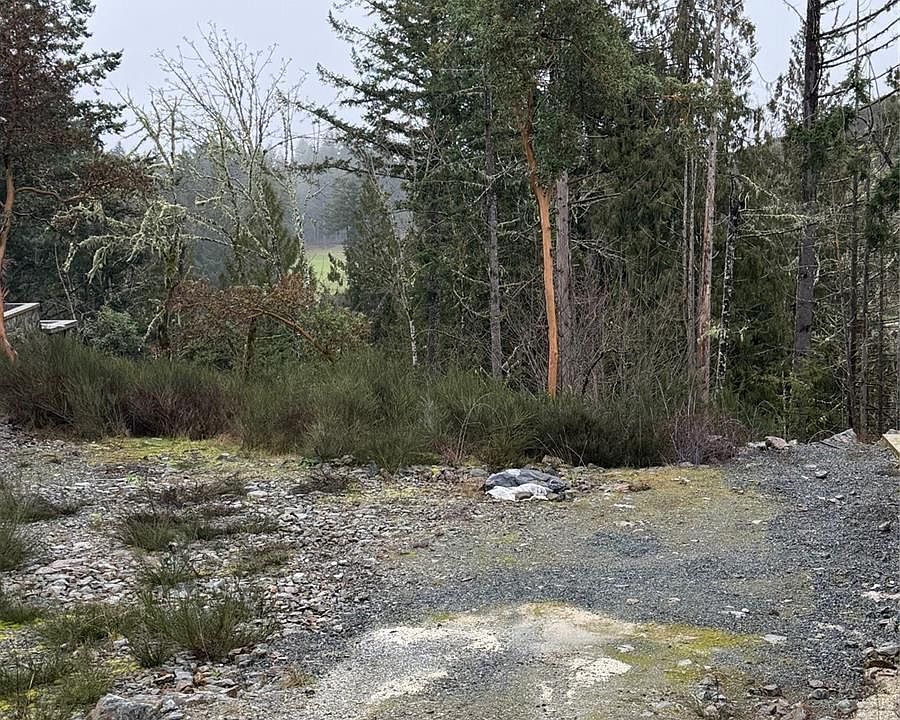 2nd image of 2034 Pinehurst Ter