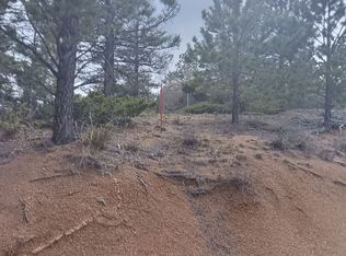 TRACT Spruce Mountain Rd, Cotopaxi, CO 81223