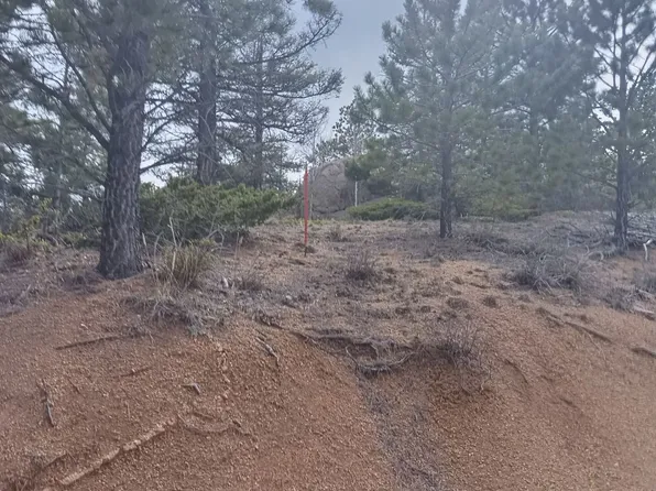 TRACT Spruce Mountain Rd, Cotopaxi, CO 81223