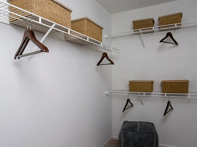 Spacious walk-in closet
