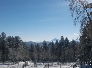 618 Old Sawmill Rd, Bailey, CO 80421