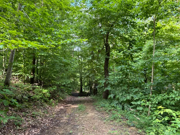 7466 Hawkins Branch Rd, Frenchburg, KY 40322
