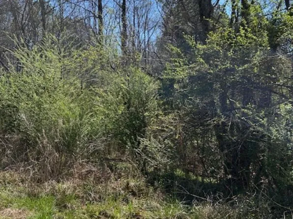 Cathedral Ln #4, Mc Calla, AL 35111