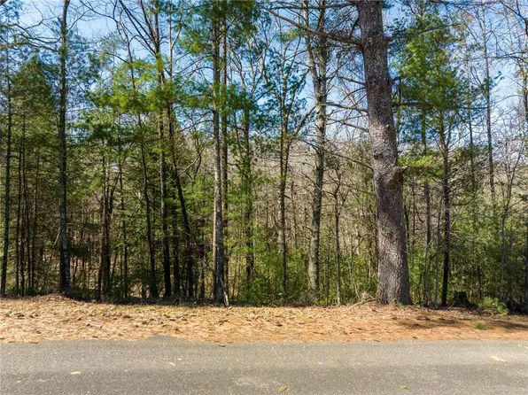 0 Shenendoa Dr #164, Ellijay, GA 30540