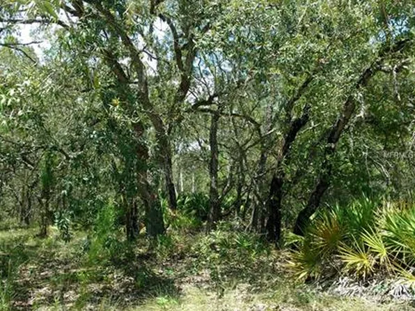 Mansign Rd, Weeki Wachee, FL 34613