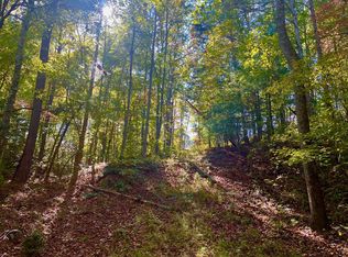 59 High River Rd, Ellijay, GA 30540