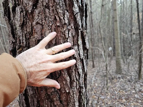 0 Pleasant Hill Rd, Hackleburg, AL 35564