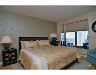 5th image of 161 E Chicago Ave APT 50G