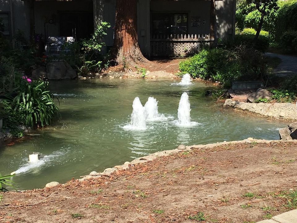 Water feature and fountain