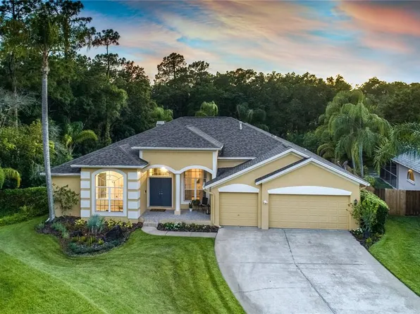 10612 Chambers Dr, Tampa, FL 33626