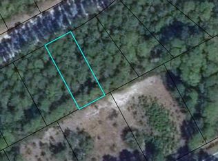 162 Royal Tern Way, Lanark Village, FL 32323