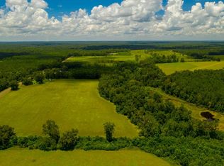 939 Luten Rd, Quincy, FL 32352