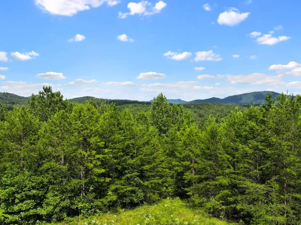 LOT 1 N View Dr, Mineral Bluff, GA 30559