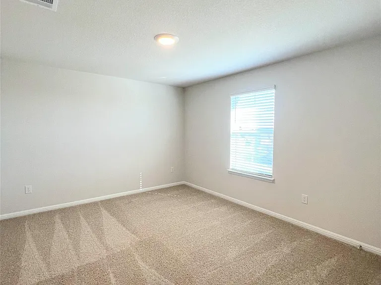 2409 Corriente Path — Photo 29