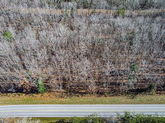 5th image of 517 Westchester Dr
