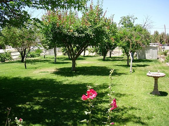 Front yard, from front deck